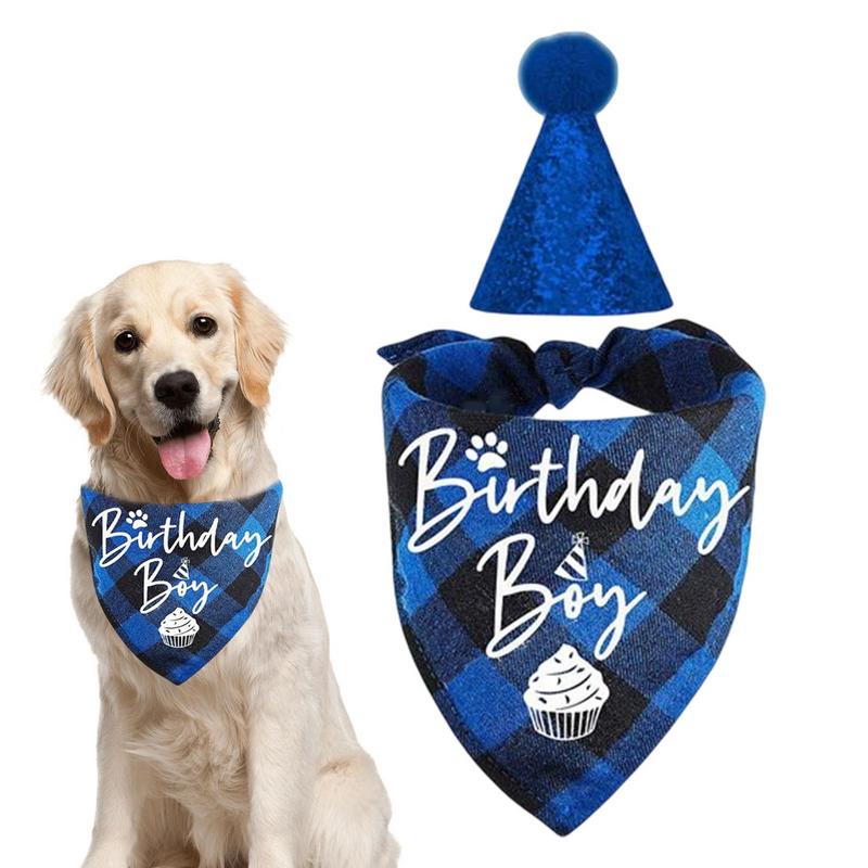 NEW Birthday Party Hat & Scarf