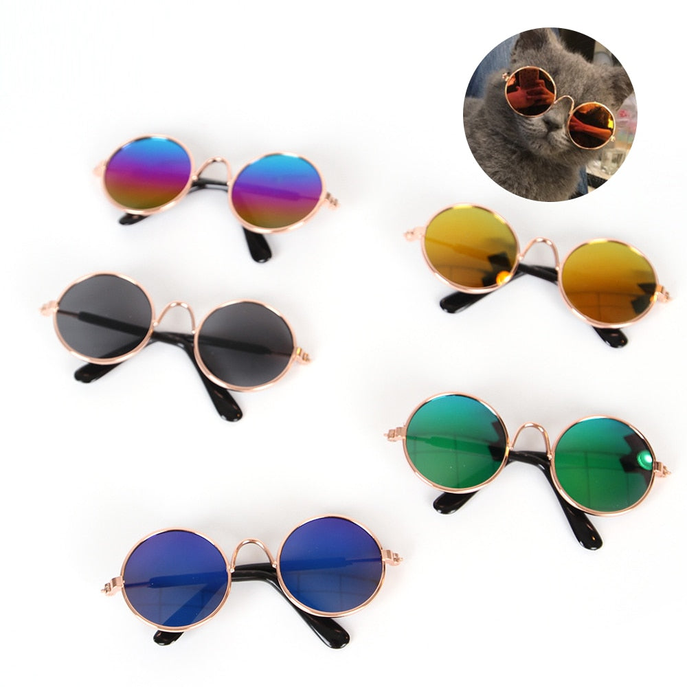 Cool Funny Kitten Sunglasses