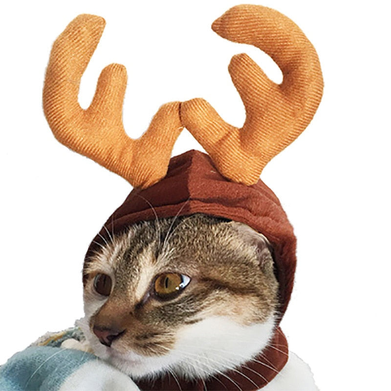Christmas Hat Halloween Pet Costume For Cat