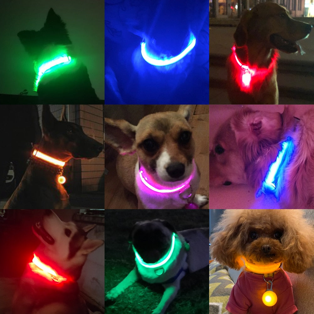 USB Charging/Battery replacement Led Dog Collar