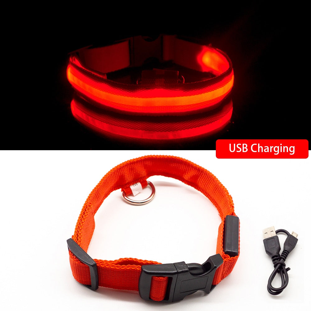 USB Charging/Battery replacement Led Dog Collar