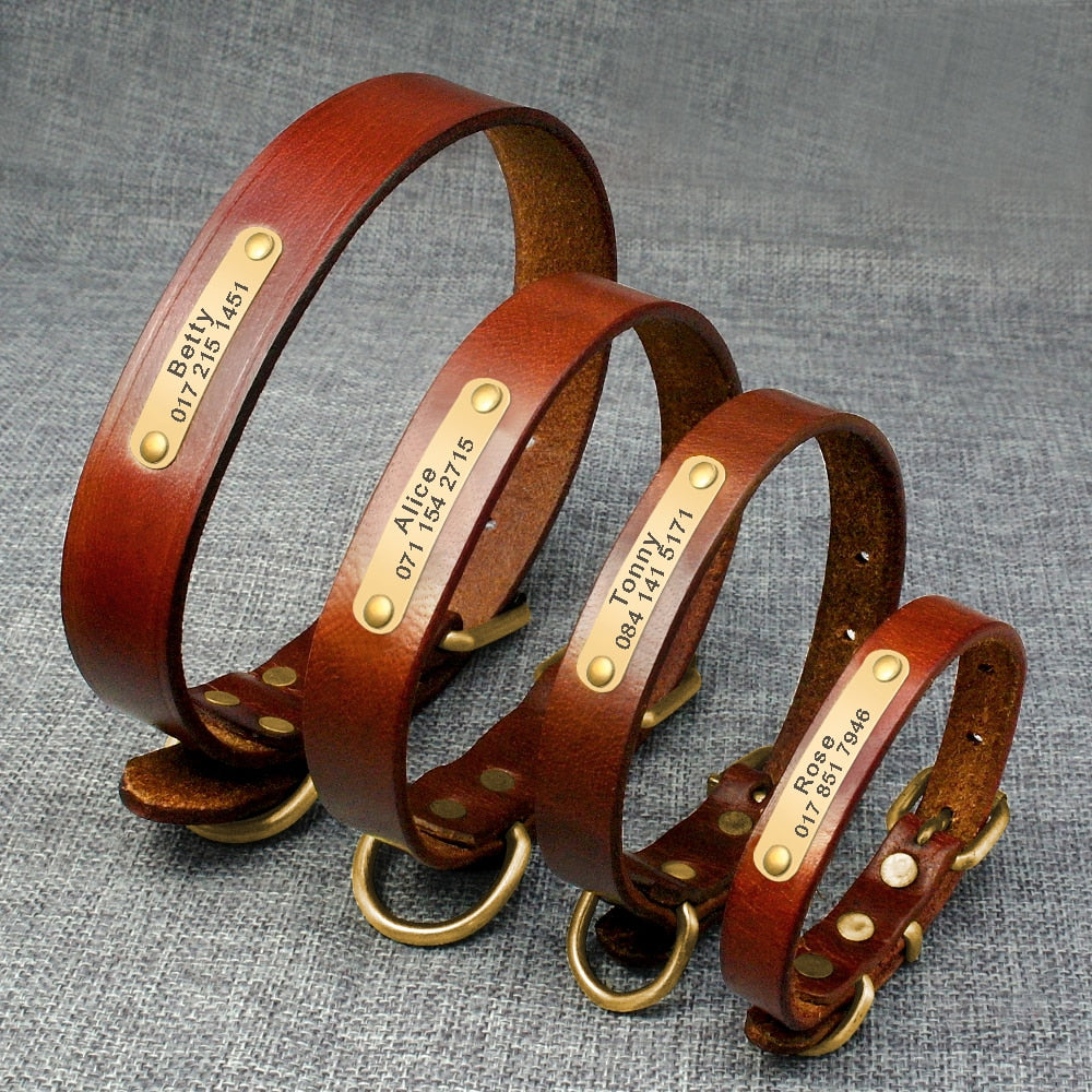 Personalized Dog ID Collar Genuine Leather