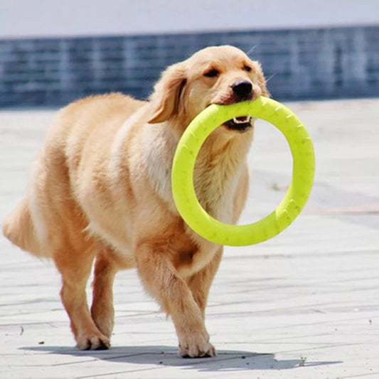 Flying Discs EVA Dog Training Ring