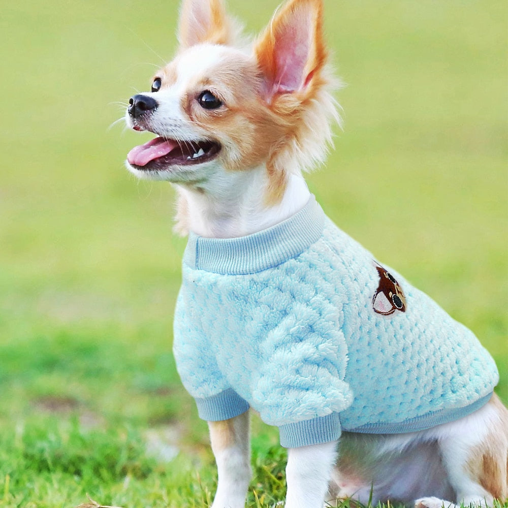 Coat Hoodie for Small Dog