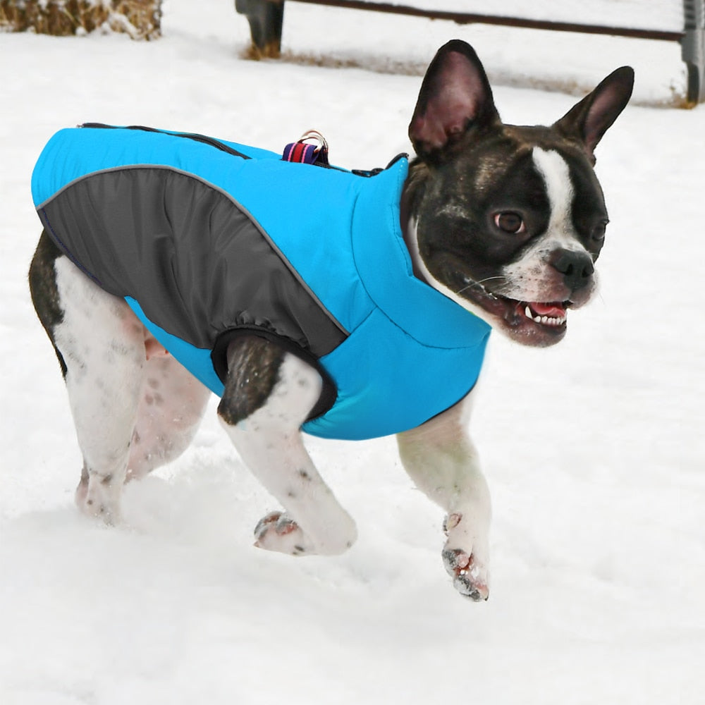 Waterproof Winter Puppy Vest