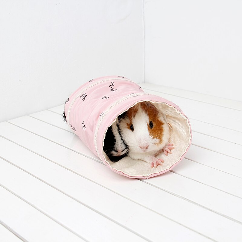 Guinea Pig Tunnel