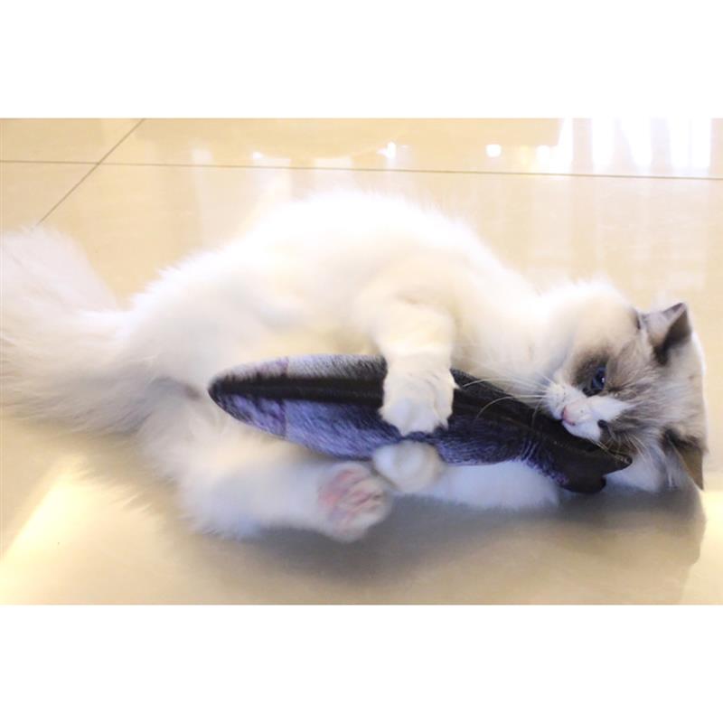 Fish Shape Bite Resistant Catnip Cat Toy