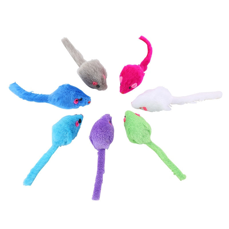 Spring Cat Toy Cat Feather Wand Cat