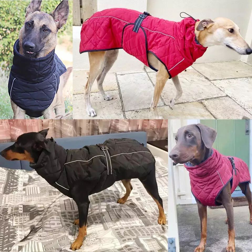 Dog Outdoor Jacket Waterproof