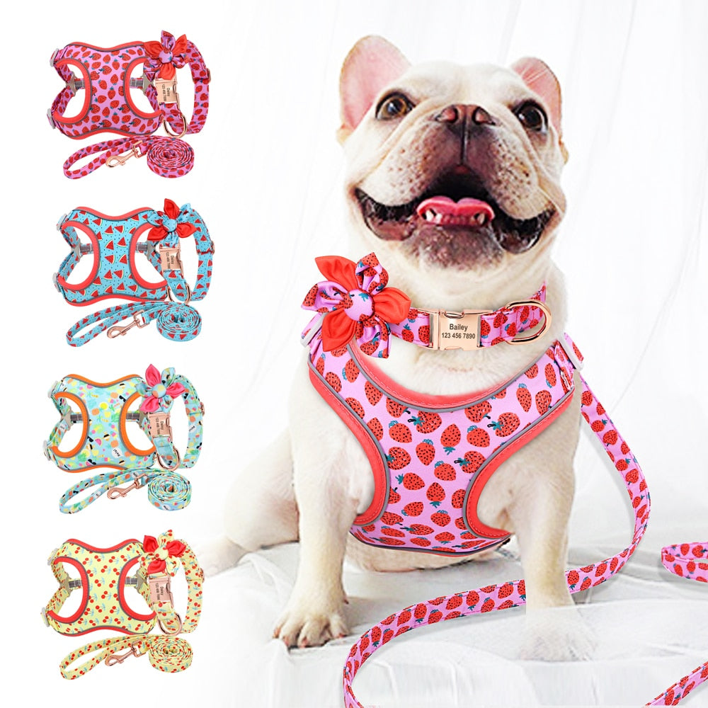 Custom Printed Dog Collar Leash Set Personalized