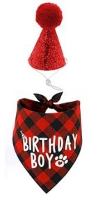 Birthday Triangle Scarf Hat Bow Tie