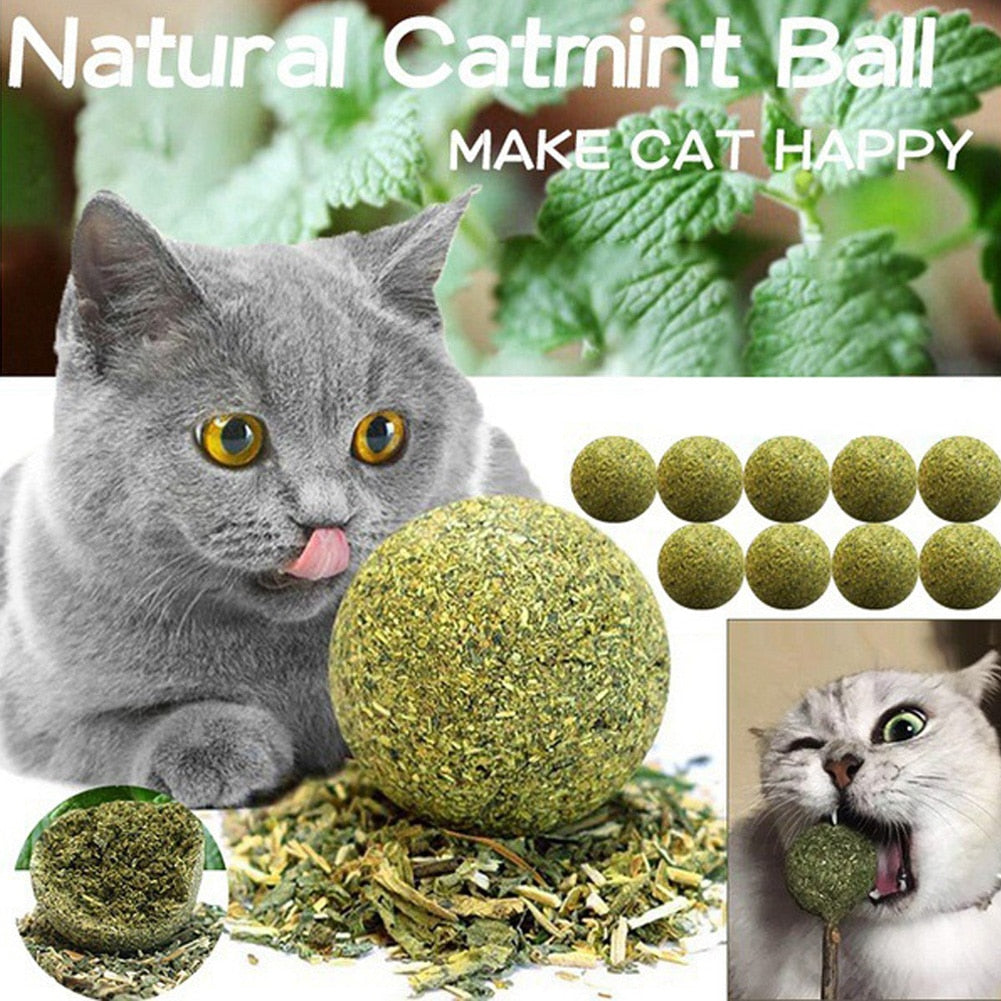 Catnip Ball Safety Healthy for kitten's