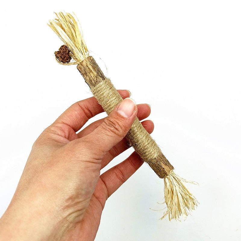Wooden Polygonum Stick Cane Toys
