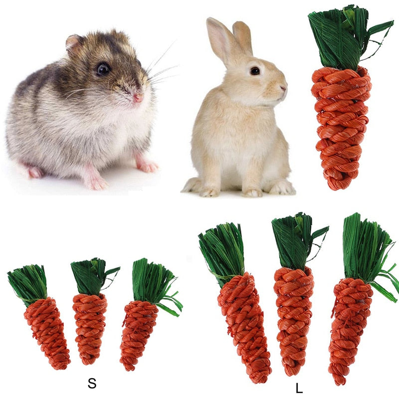 3Pcs Hamster Rabbit Chew Toy