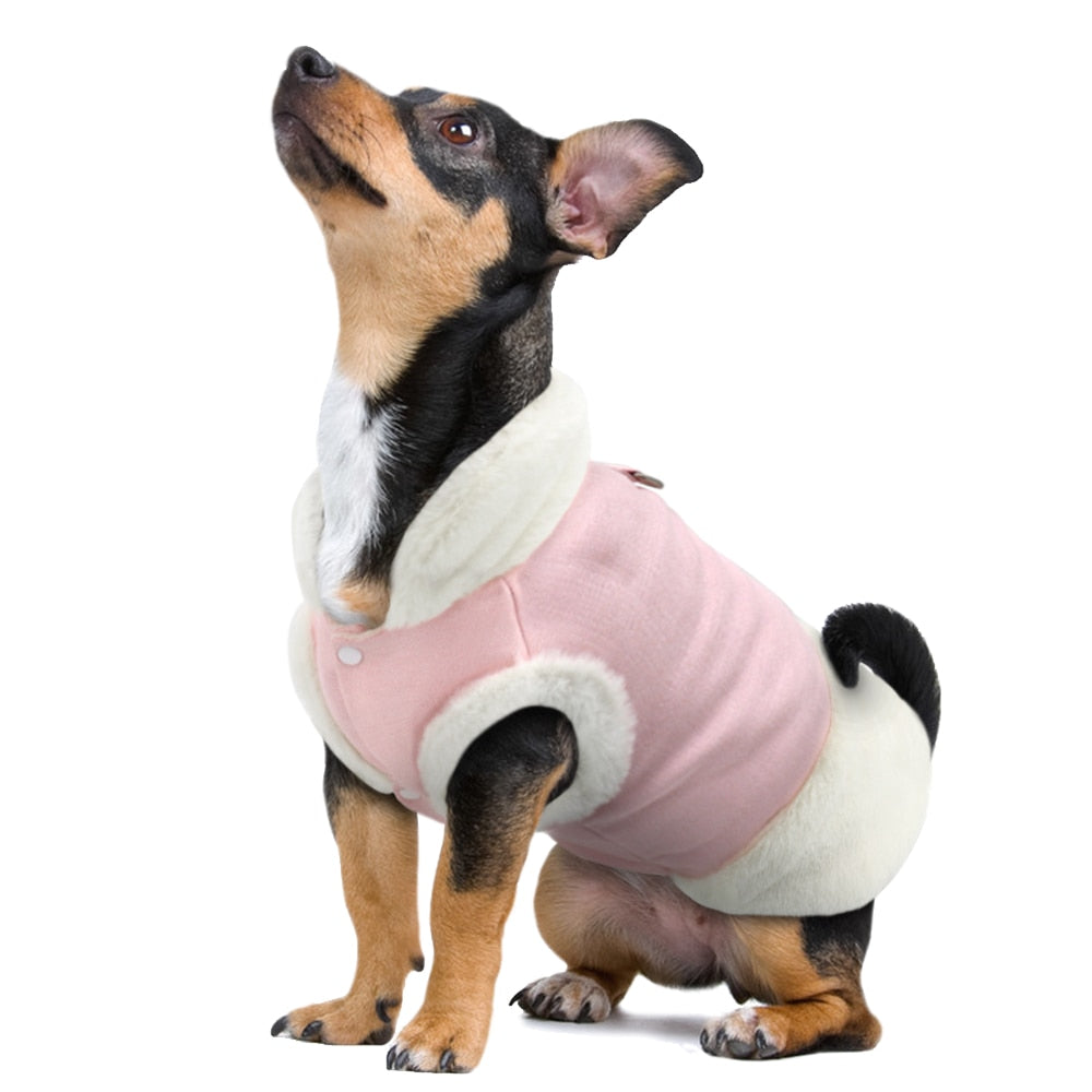 Bulldog Dog Coat Jacket Mascotas