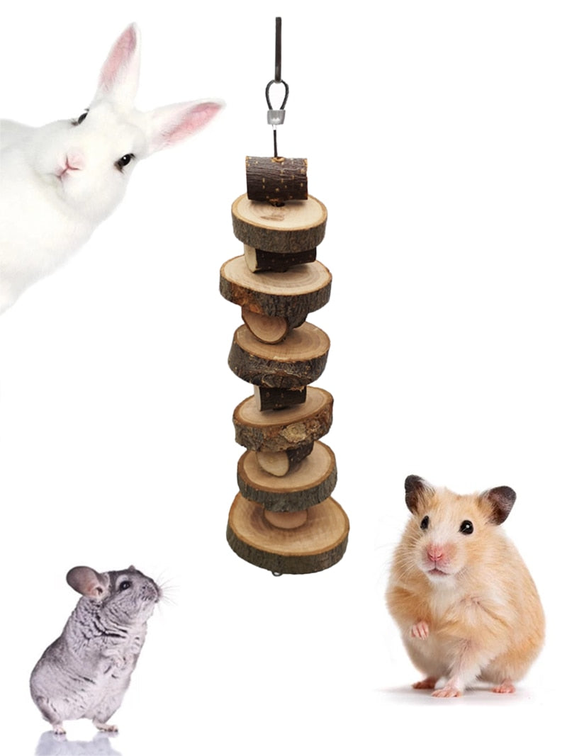 Hamster Chinchilla Tooth Grinding Toy