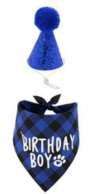 Birthday Triangle Scarf Hat Bow Tie