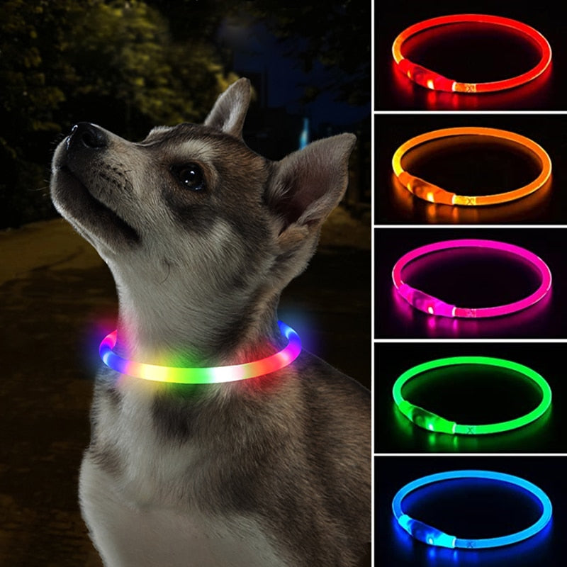 Led Dog Collar Luminous Usb Collar