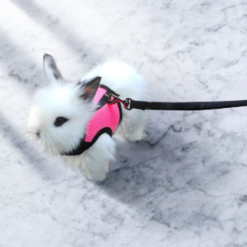 Breathable Comfortable Rabbit Harnesses