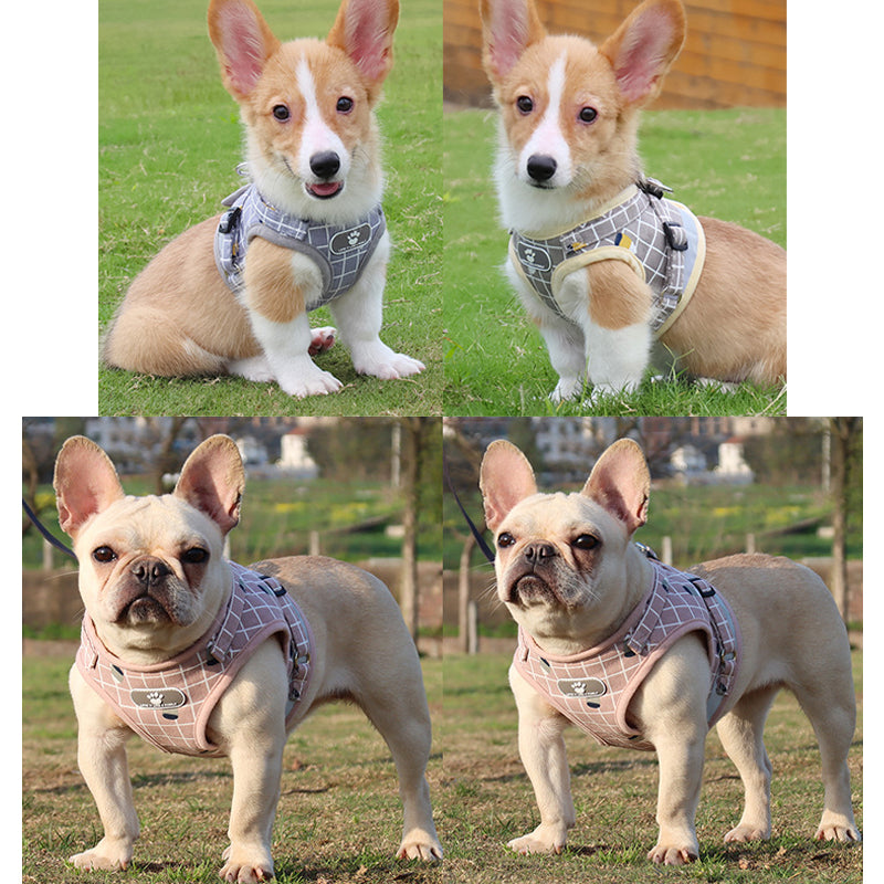 Nylon Mesh Kitten Puppy Reflective Dogs Harness And Leash