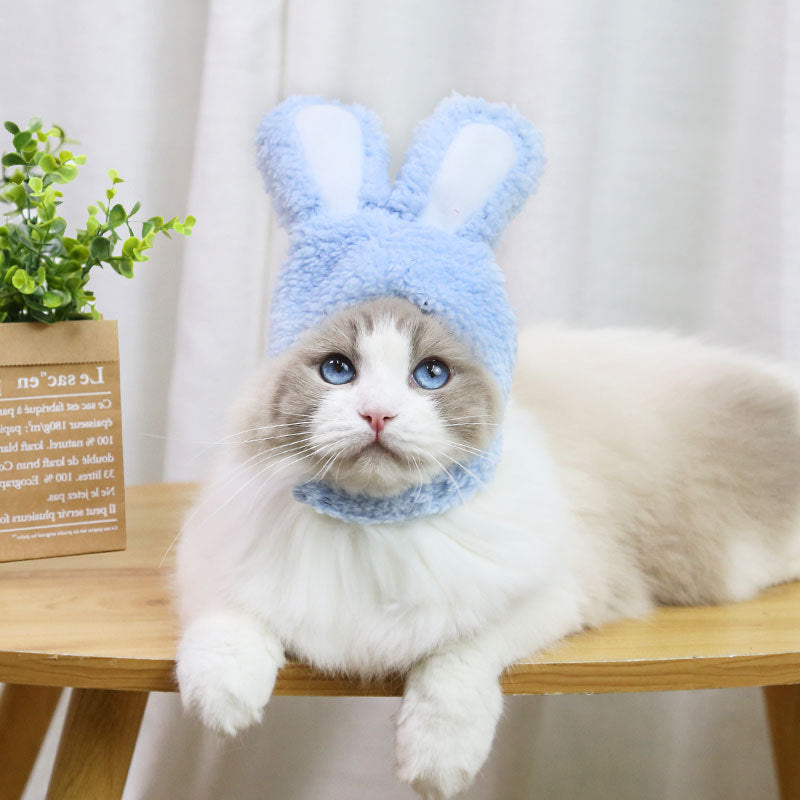 Cat Bunny Hat Pet Dogs Small and Medium-sized Dogs