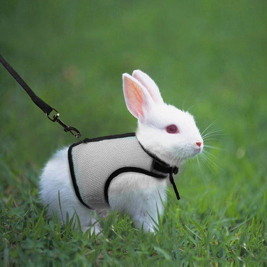 Rabbit Harnesses Vest Leashes Set