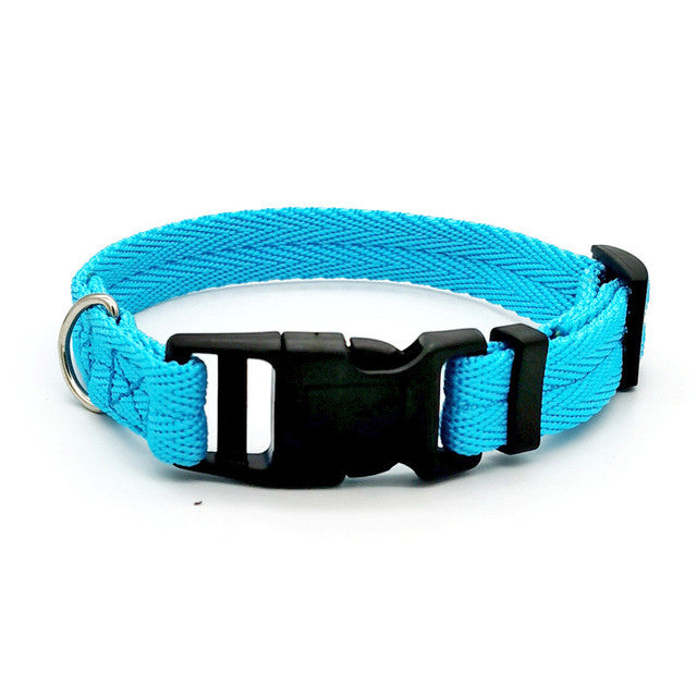 Nylon Webbing Dog Collar