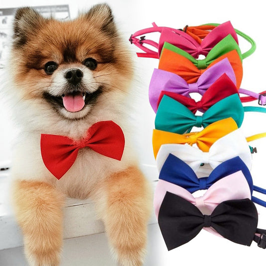 Bow Tie for Dog's & Cat's