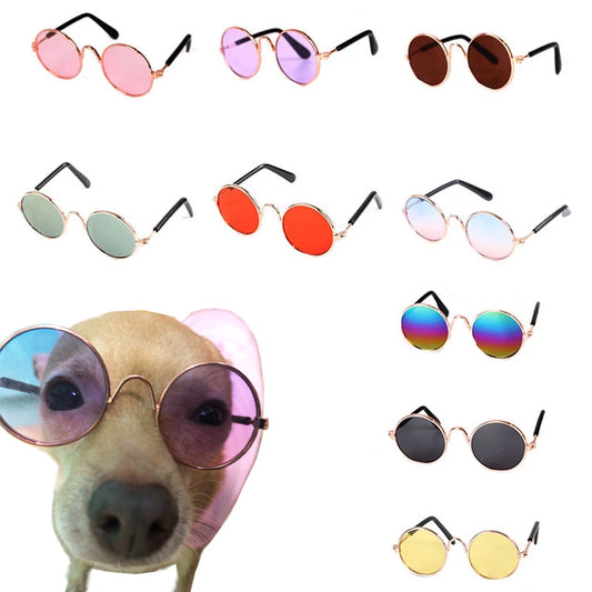 Dogs Sunglasses Harness Accessory
