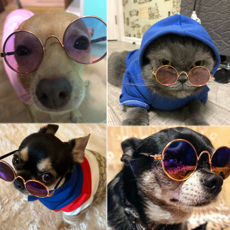Dogs Sunglasses Harness Accessory